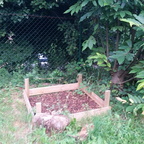 Outdoor-Katzenklo